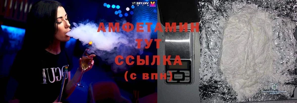 твердый Бородино