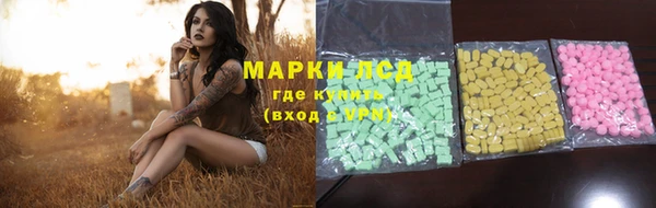 твердый Бородино