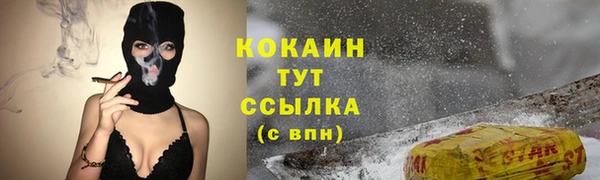 соль ск Богородск