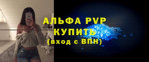 твердый Бородино