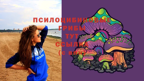 скорость mdpv Богданович