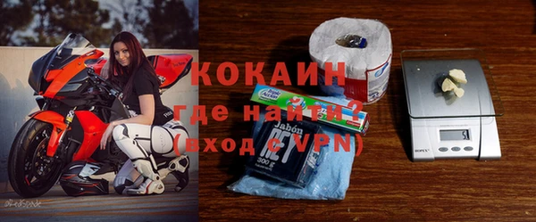 твердый Бородино