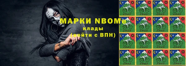 твердый Бородино