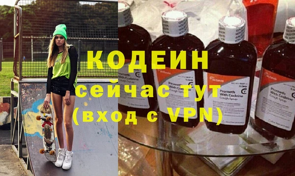 хмурый Гусев