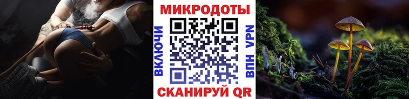 Псилоцибиновые грибы Psilocybe  наркота  Выборг 